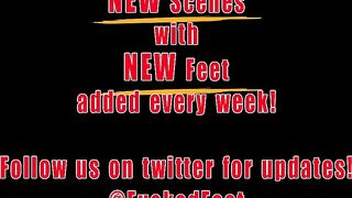 The Best Seat in the House!